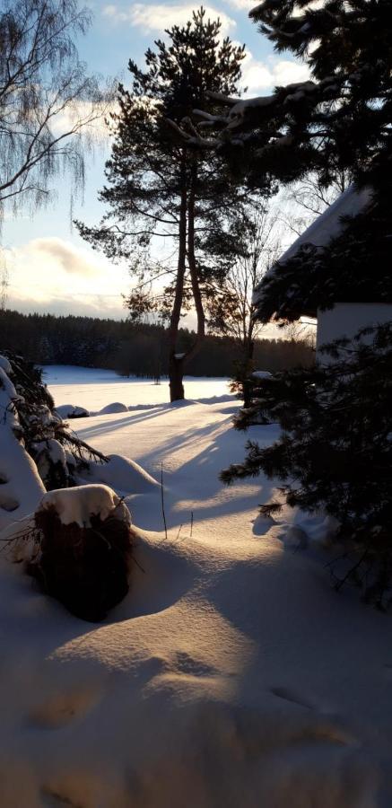 Apartmán 12 Lipno nad Vltavou Esterno foto